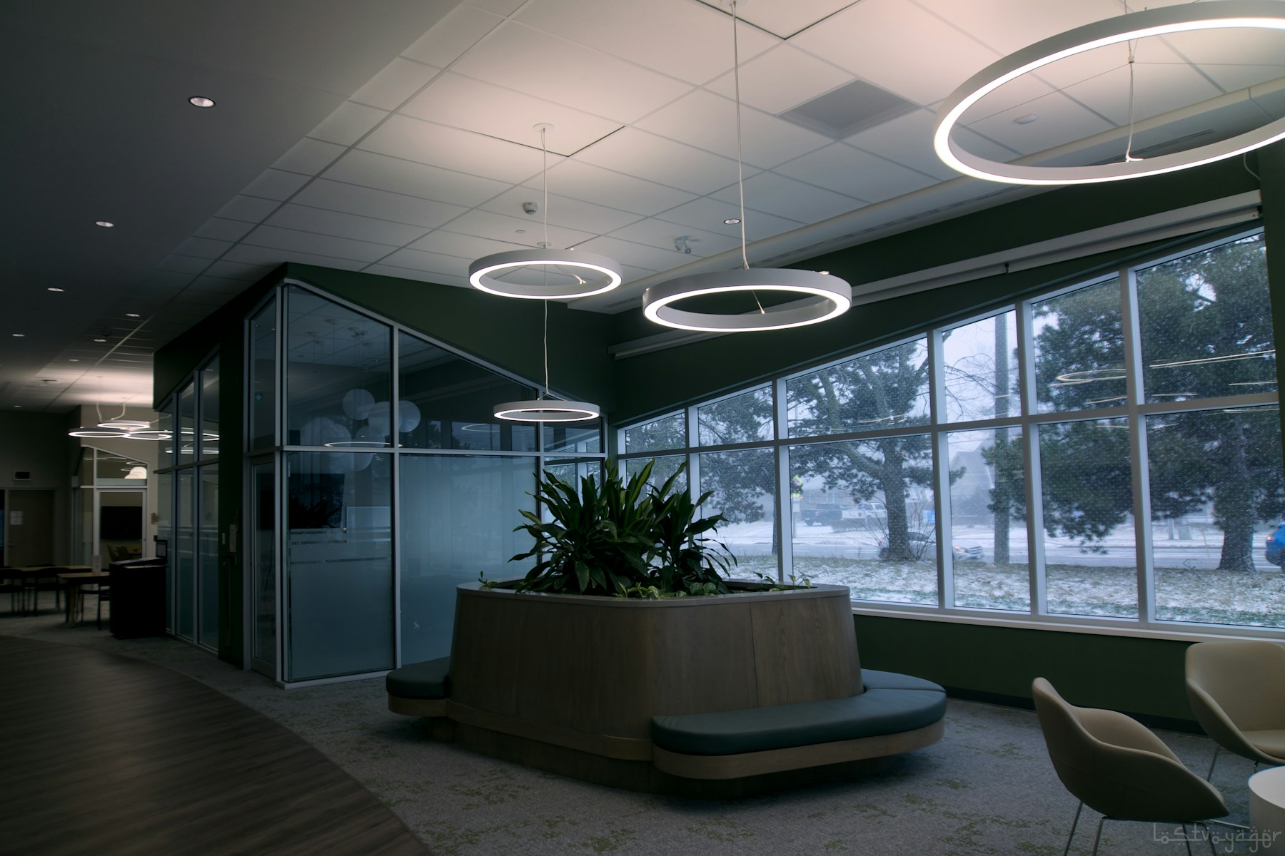 A modern office shared space with glass walls and indoor plants